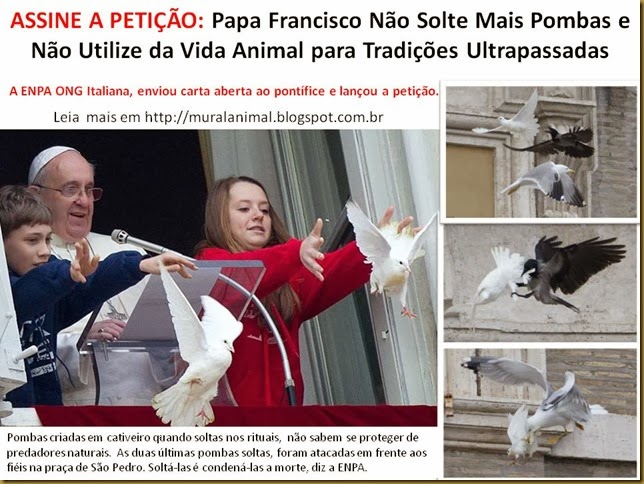 peticao-papa-pombas