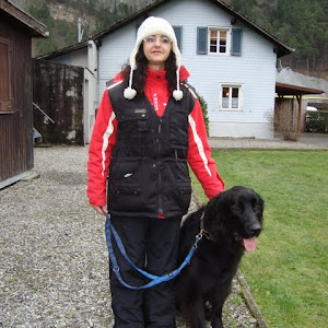 Hunderhalterbrevet, Erstfeld 12.12.2010