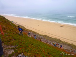 [P1160968%255B6%255D.jpg]