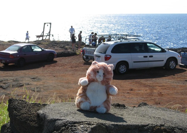 [IMG_0847CROPPED%255B2%255D.jpg]