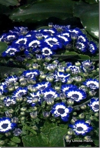 2012-03-04_10-55-53_50 2012-03-04_10-55-53_50