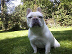 Winnie: 