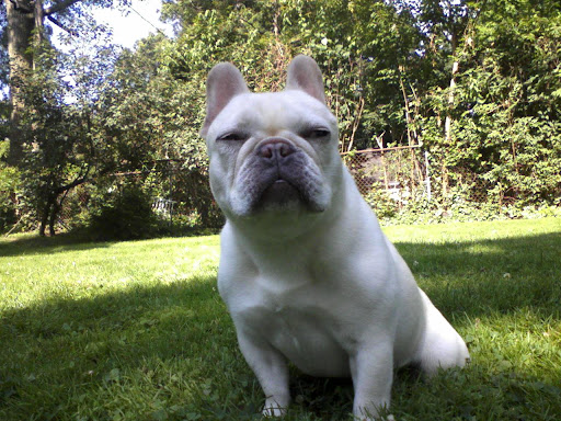 Winnie: 