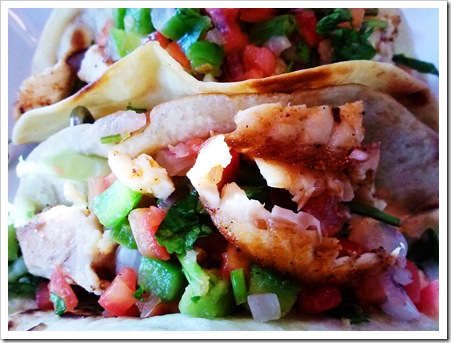 MaggieLamarre-fishtaco MaggieLamarre-fishtaco