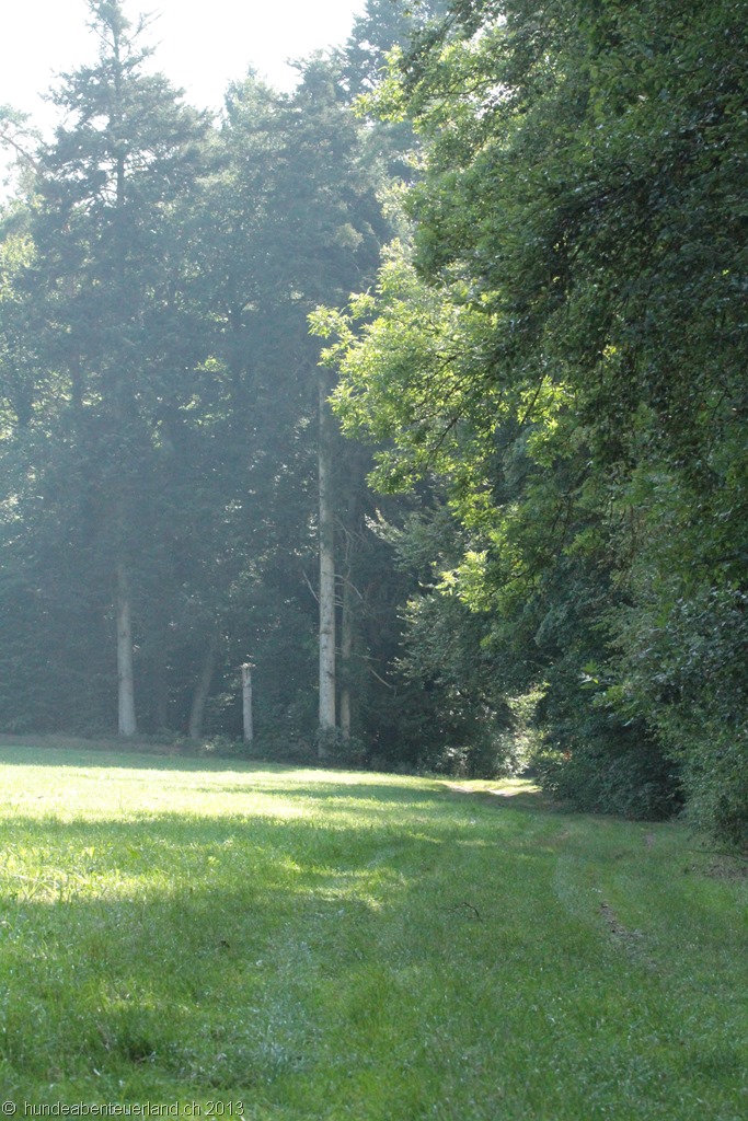 [IMG_2666%255B4%255D.jpg]
