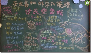 小龍2 小龍2