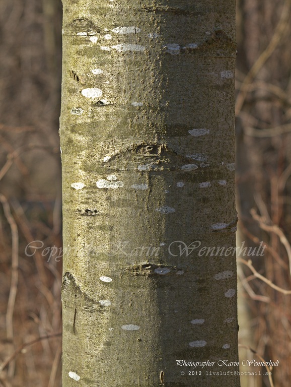 [P1012883RCvtnm3.jpg]