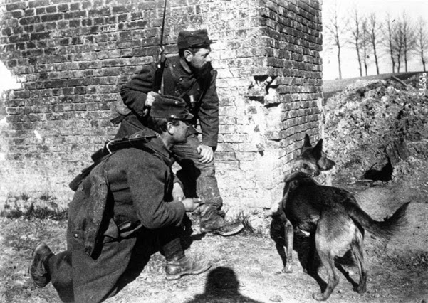 Primeira Guerra Mundial Primeira Guerra Mundial