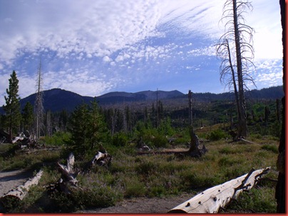 mammoth 054