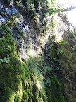 columbia_river_gorge