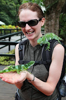 Geckos