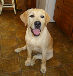 Is it Dinner time yet??