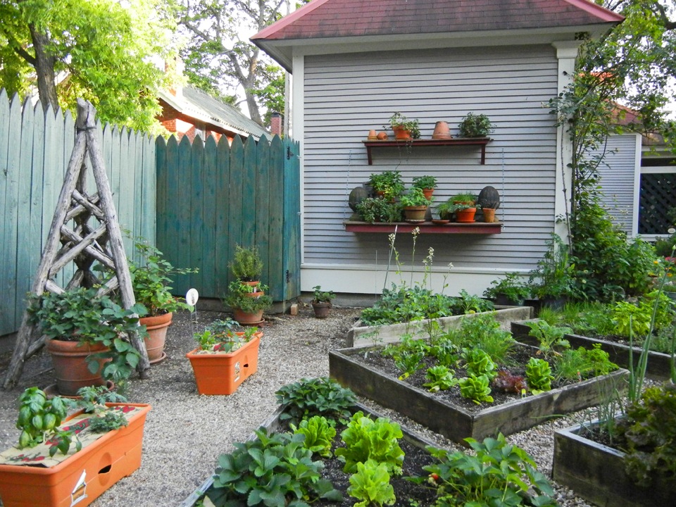[PAS2%2520Employee%2520Garden%255B4%255D.jpg]