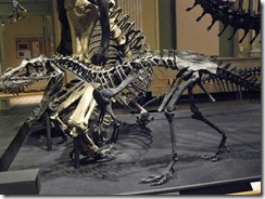 Kenosha Dinosaur Museum 019