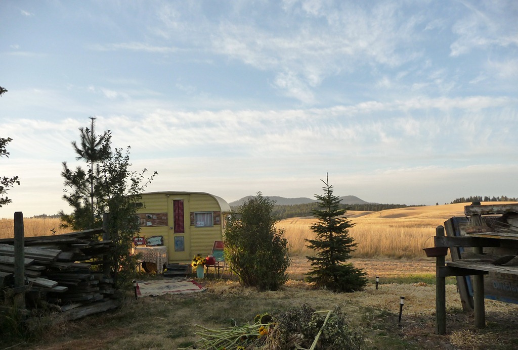 [Horse-trip-0055.jpg]