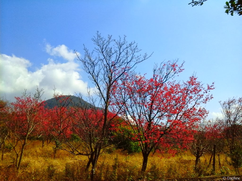 [2014-01-31%252012.04.31%255B5%255D.jpg]