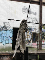 glenwood 036.jpg