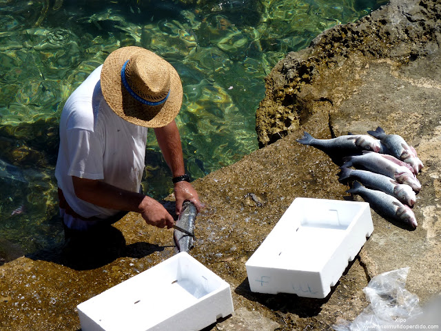 pescador-limpiando-pescado-en-korcula.JPG