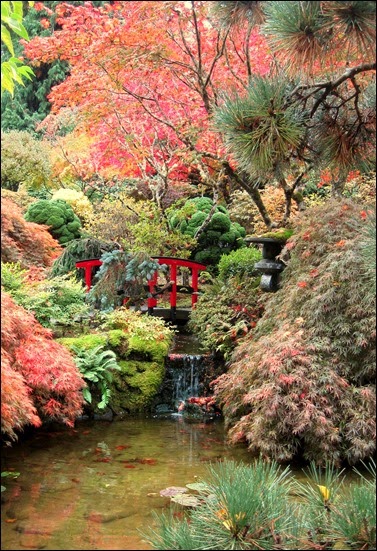 japanese garden 2