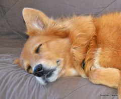 DSC_0884 DSC_0884