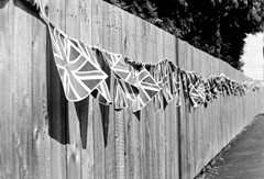 Carnival-Flags