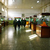 IMGP7380.JPG