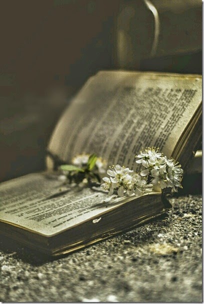 flores e livros flores e livros