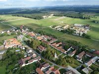Vrabce_014.JPG