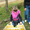 Wycieczka do Kłody 2013-10-11 012.JPG