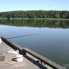 dsc03338.jpg