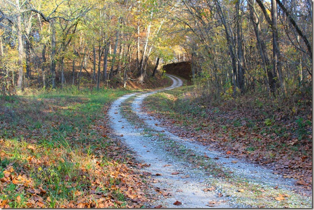 Gravel road leading to Muddy Bottom Wild Life Preserve