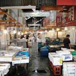 tsukiji fish market in Tokyo, Tokyo, Japan