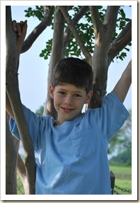 pj in crepe myrtle
