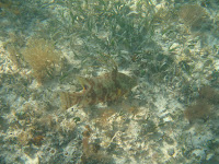 IMG_4597.jpg