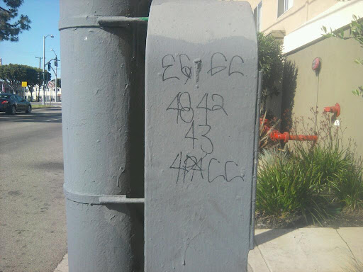 file-3.jpeg