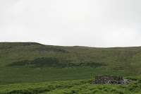 IMG_3391.jpg