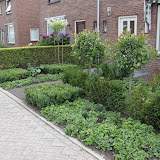 kleine voortuin