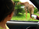 South Africa - 060.JPG