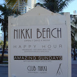 amazing sundays at club nikki in Miami, United States 
