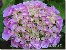 IMG_0481 IMG_0481