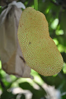 DSC_5940.JPG