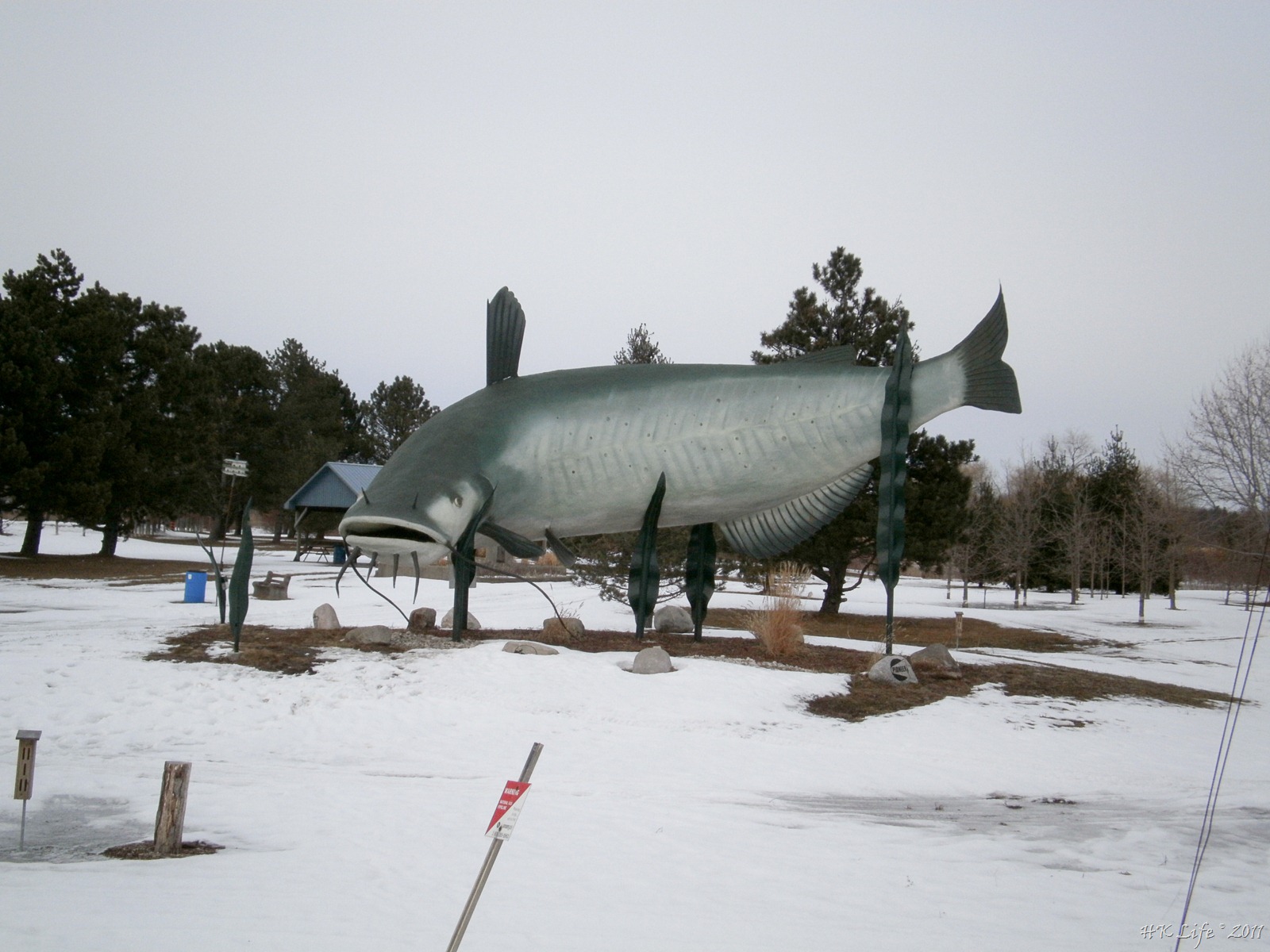 [P3030142%255B3%255D.jpg]