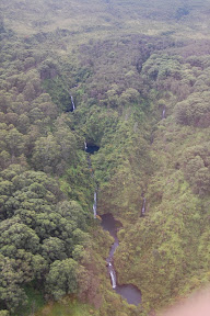 DSC_0636.jpg