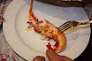 sh120101_048_resize.JPG