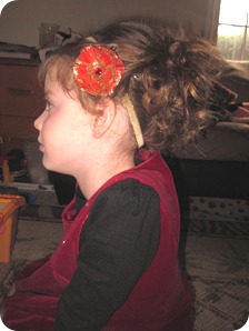 IMG_0529 IMG_0529