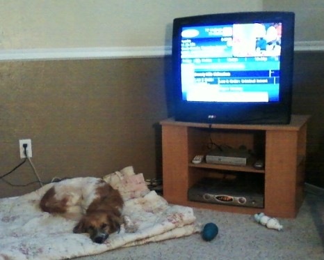[TV%2520in%2520corner%255B5%255D.jpg]