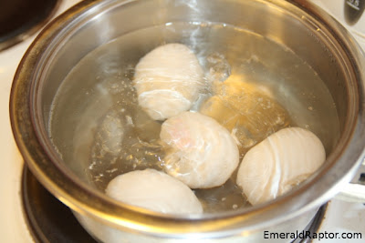 Koker egg