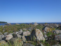 IMGP0106.JPG Photo