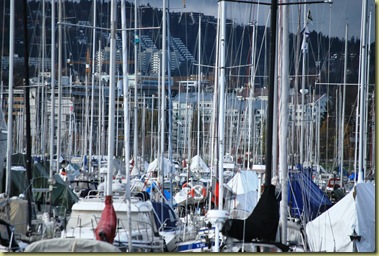 2011-10-30 Forest of Masts