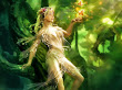 Green Fairy Of Forest